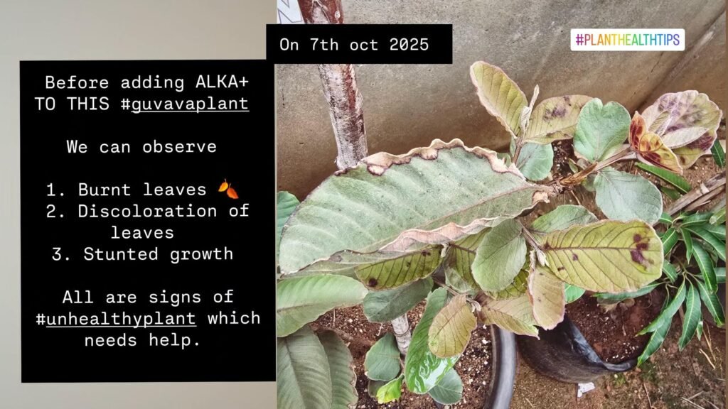 Lab results of product tested in lab