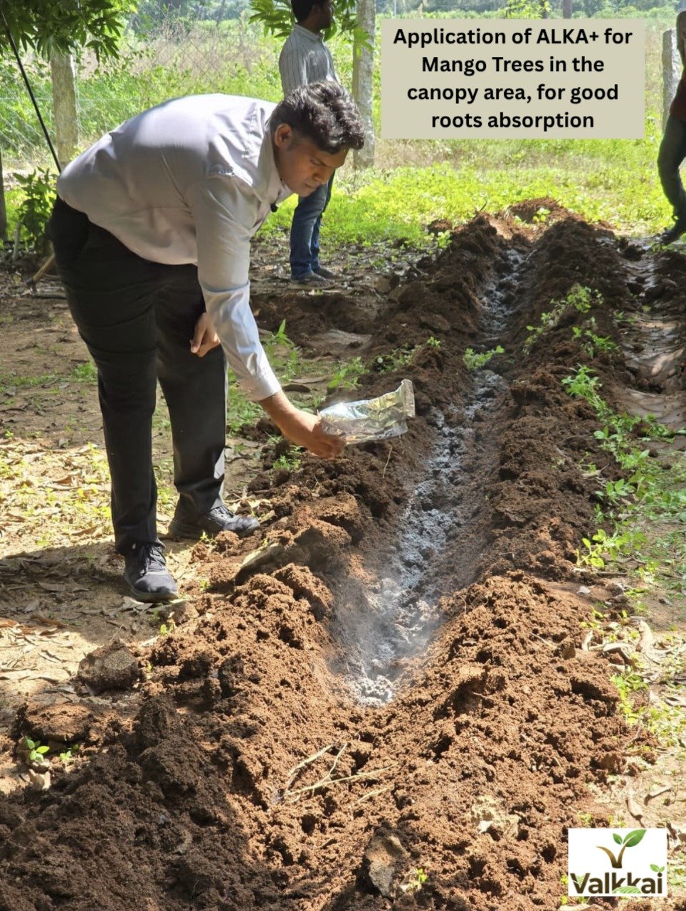 Mr. Suraj, valkkai working in field.